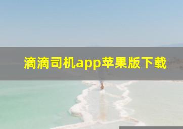 滴滴司机app苹果版下载