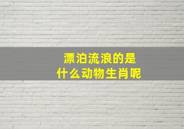 漂泊流浪的是什么动物生肖呢