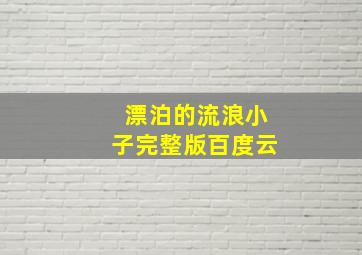 漂泊的流浪小子完整版百度云