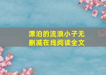 漂泊的流浪小子无删减在线阅读全文