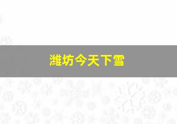 潍坊今天下雪