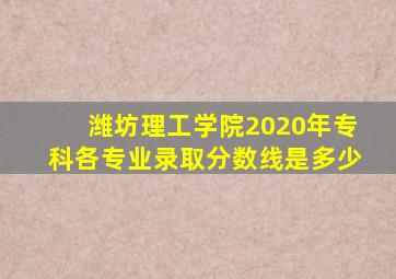 潍坊理工学院2020年专科各专业录取分数线是多少