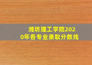 潍坊理工学院2020年各专业录取分数线