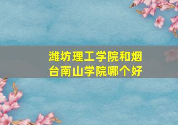 潍坊理工学院和烟台南山学院哪个好