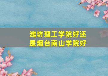 潍坊理工学院好还是烟台南山学院好