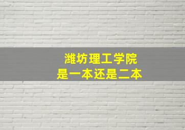 潍坊理工学院是一本还是二本