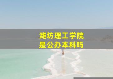 潍坊理工学院是公办本科吗