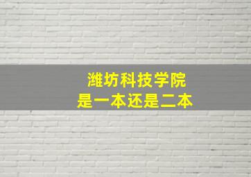 潍坊科技学院是一本还是二本