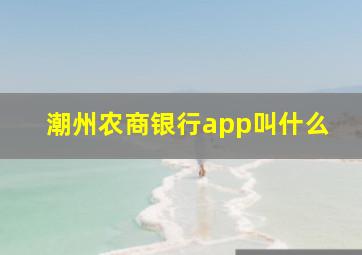 潮州农商银行app叫什么