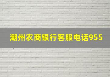 潮州农商银行客服电话955