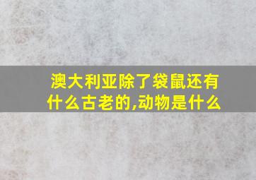 澳大利亚除了袋鼠还有什么古老的,动物是什么