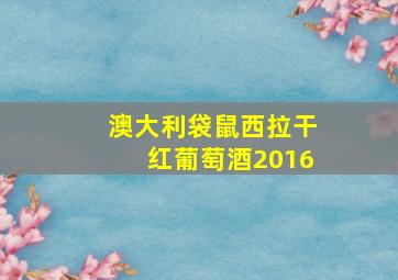 澳大利袋鼠西拉干红葡萄酒2016