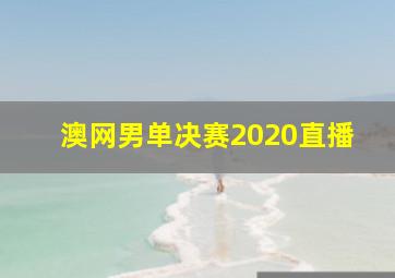 澳网男单决赛2020直播