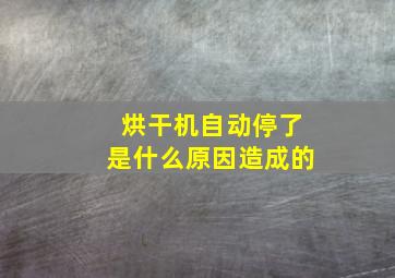 烘干机自动停了是什么原因造成的