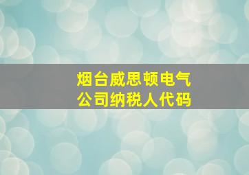 烟台威思顿电气公司纳税人代码