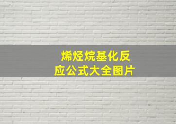 烯烃烷基化反应公式大全图片