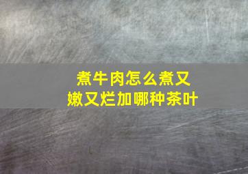 煮牛肉怎么煮又嫩又烂加哪种茶叶