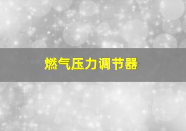 燃气压力调节器