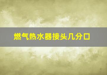 燃气热水器接头几分口