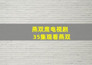 燕双鹰电视剧35集观看燕双