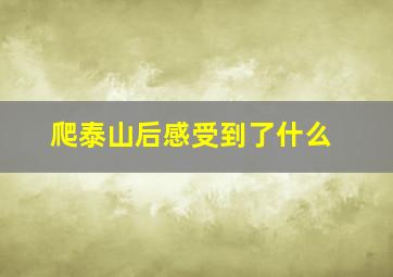 爬泰山后感受到了什么