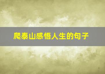 爬泰山感悟人生的句子