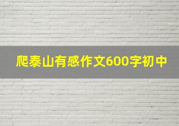 爬泰山有感作文600字初中