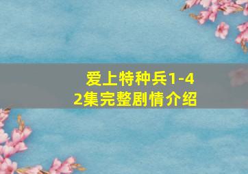 爱上特种兵1-42集完整剧情介绍