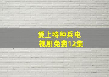 爱上特种兵电视剧免费12集