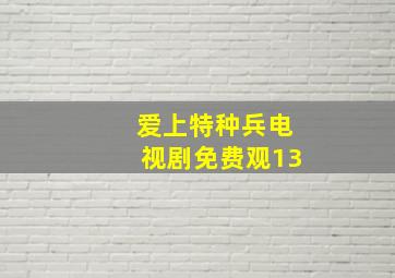 爱上特种兵电视剧免费观13