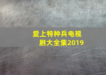 爱上特种兵电视剧大全集2019