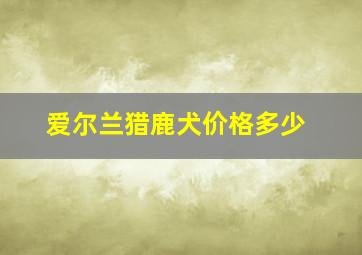 爱尔兰猎鹿犬价格多少