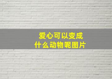 爱心可以变成什么动物呢图片