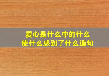 爱心是什么中的什么使什么感到了什么造句