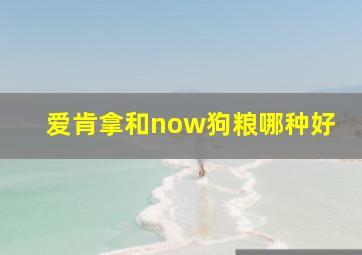 爱肯拿和now狗粮哪种好