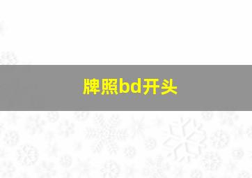 牌照bd开头