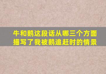 牛和鹅这段话从哪三个方面描写了我被鹅追赶时的情景
