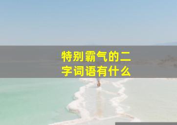 特别霸气的二字词语有什么