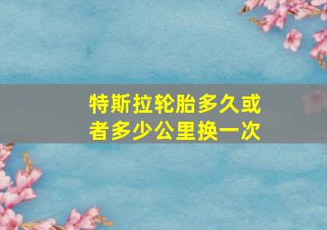 特斯拉轮胎多久或者多少公里换一次