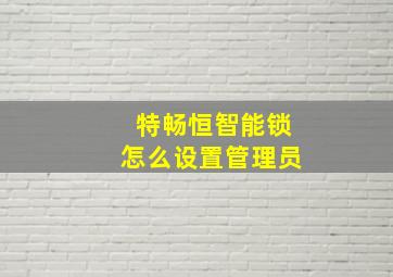 特畅恒智能锁怎么设置管理员