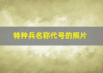 特种兵名称代号的照片