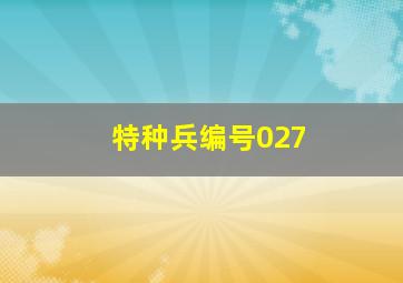 特种兵编号027