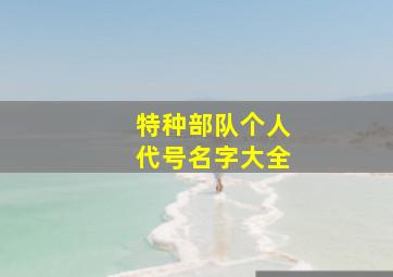 特种部队个人代号名字大全