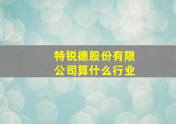 特锐德股份有限公司算什么行业