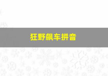 狂野飙车拼音