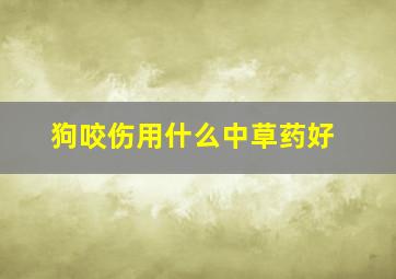 狗咬伤用什么中草药好