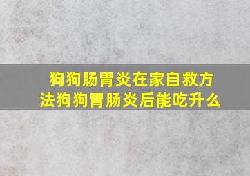 狗狗肠胃炎在家自救方法狗狗胃肠炎后能吃升么