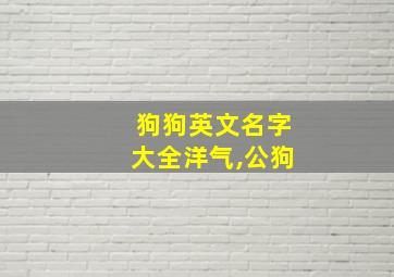 狗狗英文名字大全洋气,公狗