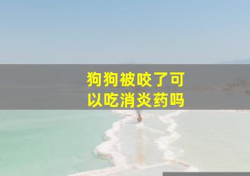 狗狗被咬了可以吃消炎药吗