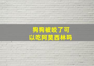 狗狗被咬了可以吃阿莫西林吗